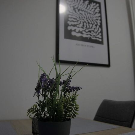 Swan Apartments Нюрнберг Екстериор снимка